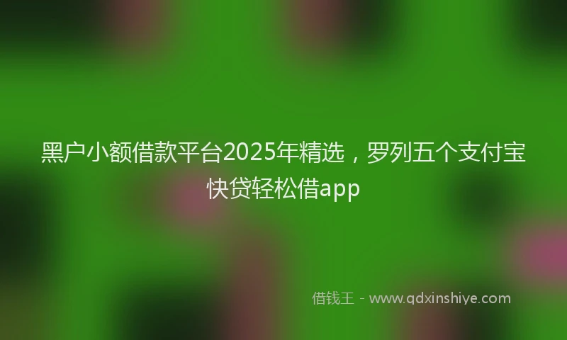黑户小额借款平台2025年精选，罗列五个支付宝快贷轻松借app
