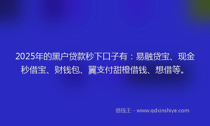 2025年的黑户贷款秒下口子有：易融贷宝、现金秒借宝、财钱包、翼支付甜橙借钱、想借等。