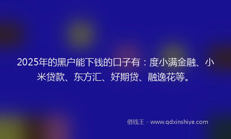 2025年的黑户能下钱的口子有：度小满金融、小米贷款、东方汇、好期贷、融逸花等。