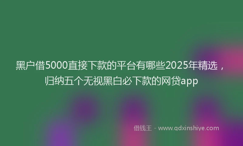 黑户借5000直接下款的平台有哪些2025年精选，归纳五个无视黑白必下款的网贷app