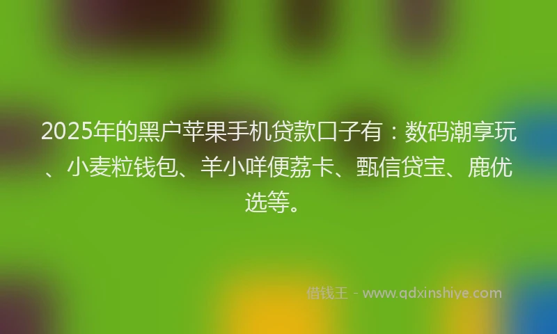 2025年的黑户苹果手机贷款口子有：数码潮享玩、小麦粒钱包、羊小咩便荔卡、甄信贷宝、鹿优选等。