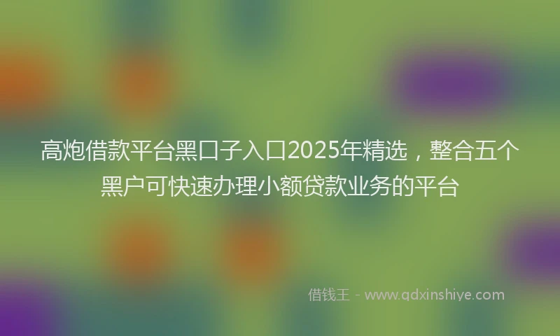 高炮借款平台黑口子入口2025年精选，整合五个黑户可快速办理小额贷款业务的平台