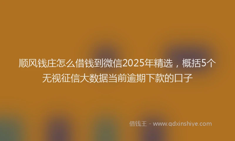 顺风钱庄怎么借钱到微信2025年精选，概括5个无视征信大数据当前逾期下款的口子