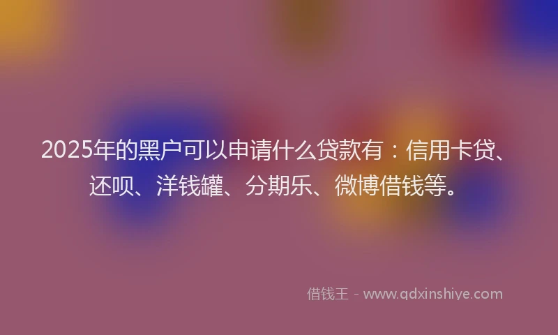 2025年的黑户可以申请什么贷款有：信用卡贷、还呗、洋钱罐、分期乐、微博借钱等。