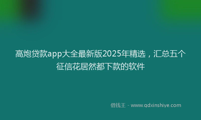 高炮贷款app大全最新版2025年精选，汇总五个征信花居然都下款的软件