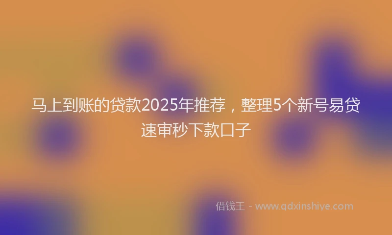 马上到账的贷款2025年推荐，整理5个新号易贷速审秒下款口子