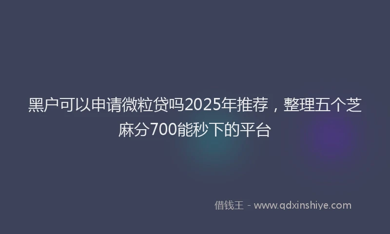 黑户可以申请微粒贷吗2025年推荐，整理五个芝麻分700能秒下的平台