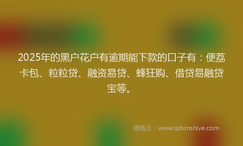 2025年的黑户花户有逾期能下款的口子有：便荔卡包、粒粒贷、融资易贷、蜂狂购、借贷易融贷宝等。