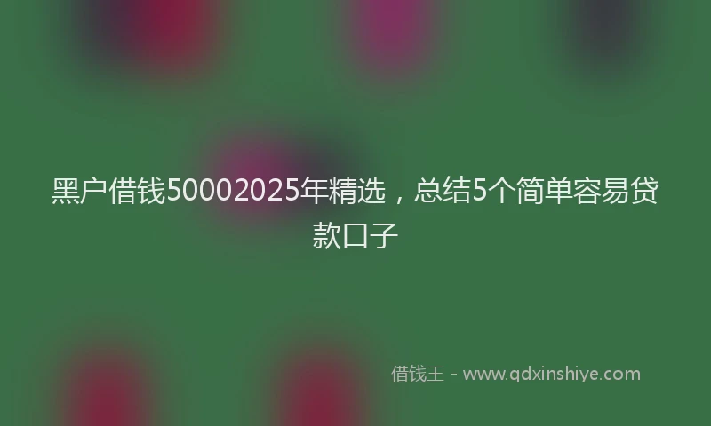 黑户借钱50002025年精选，总结5个简单容易贷款口子