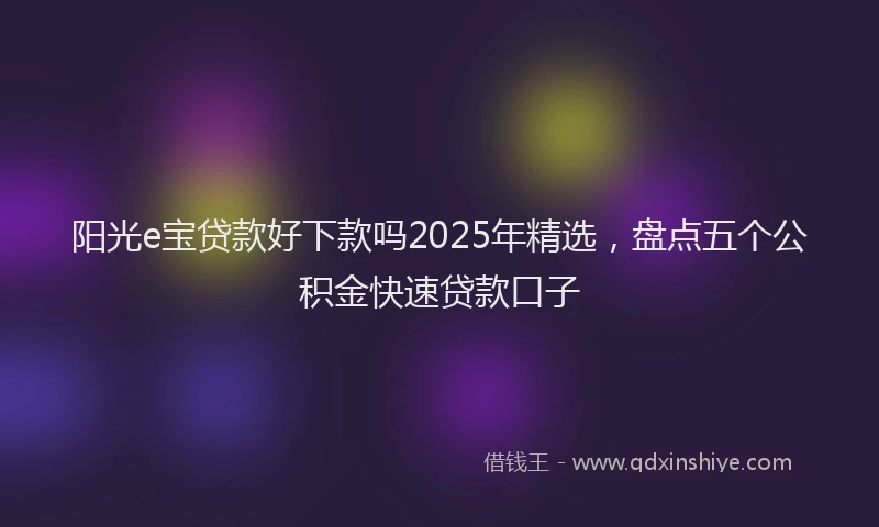 阳光e宝贷款好下款吗2025年精选，盘点五个公积金快速贷款口子