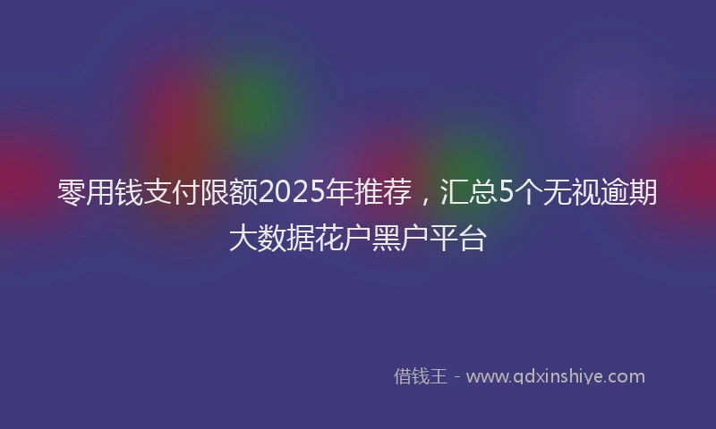 零用钱支付限额2025年推荐，汇总5个无视逾期大数据花户黑户平台