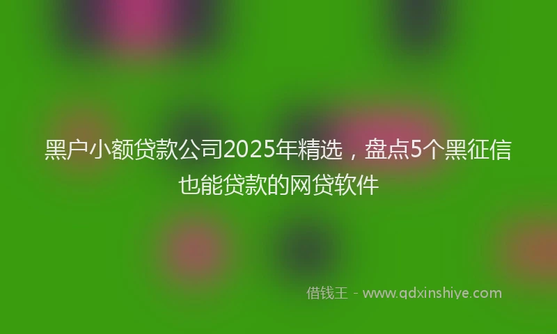 黑户小额贷款公司2025年精选，盘点5个黑征信也能贷款的网贷软件