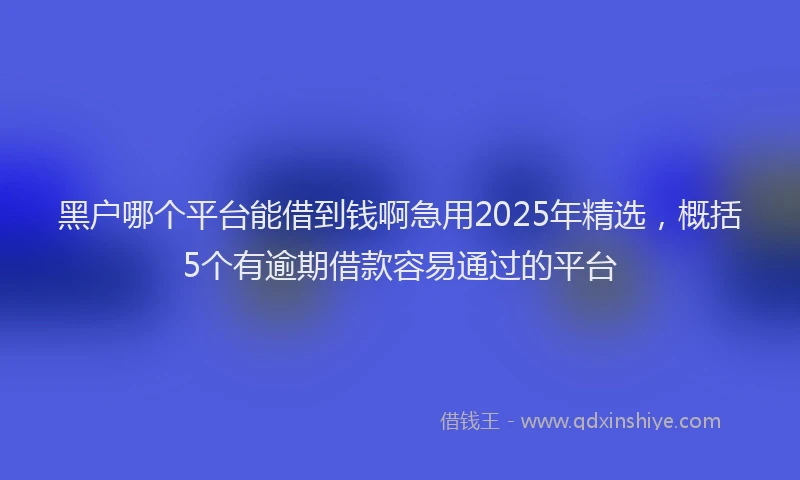 黑户哪个平台能借到钱啊急用2025年精选，概括5个有逾期借款容易通过的平台
