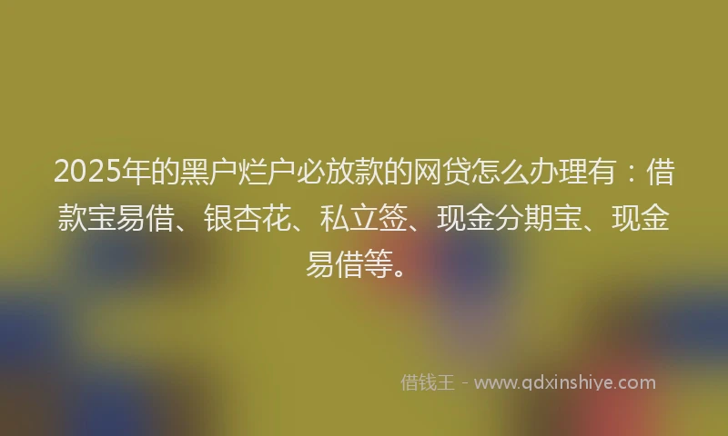 2025年的黑户烂户必放款的网贷怎么办理有：借款宝易借、银杏花、私立签、现金分期宝、现金易借等。