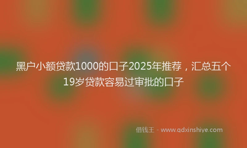 黑户小额贷款1000的口子2025年推荐，汇总五个19岁贷款容易过审批的口子