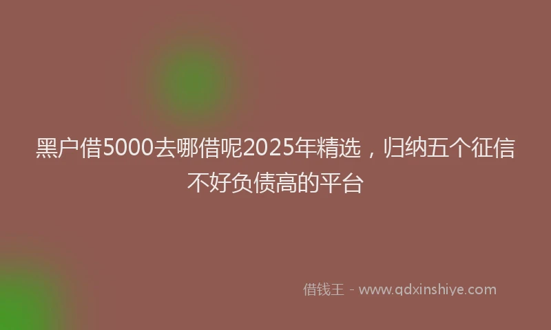 黑户借5000去哪借呢2025年精选，归纳五个征信不好负债高的平台
