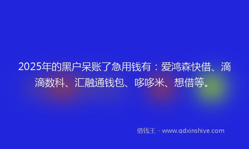 2025年的黑户呆账了急用钱有：爱鸿森快借、滴滴数科、汇融通钱包、哆哆米、想借等。