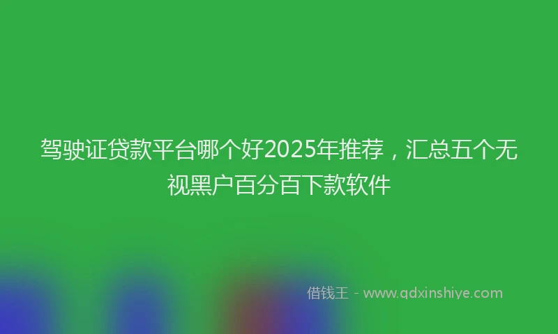 驾驶证贷款平台哪个好2025年推荐，汇总五个无视黑户百分百下款软件