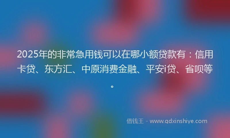 2025年的非常急用钱可以在哪小额贷款有：信用卡贷、东方汇、中原消费金融、平安i贷、省呗等。