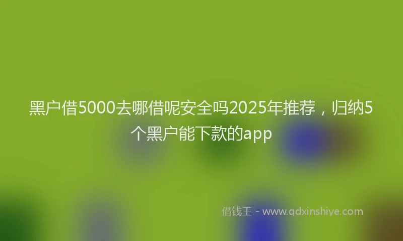 黑户借5000去哪借呢安全吗2025年推荐，归纳5个黑户能下款的app