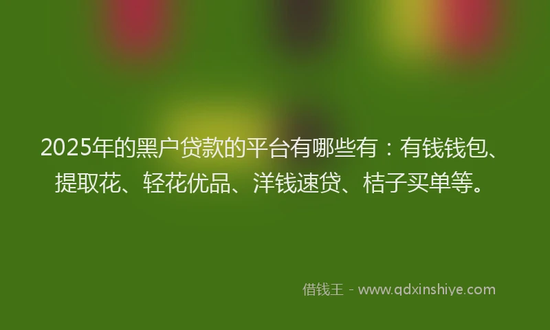 2025年的黑户贷款的平台有哪些有：有钱钱包、提取花、轻花优品、洋钱速贷、桔子买单等。