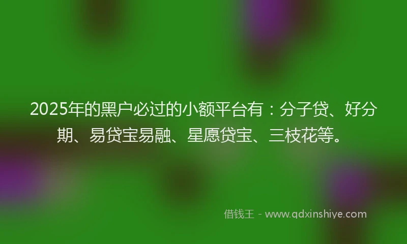 2025年的黑户必过的小额平台有：分子贷、好分期、易贷宝易融、星愿贷宝、三枝花等。