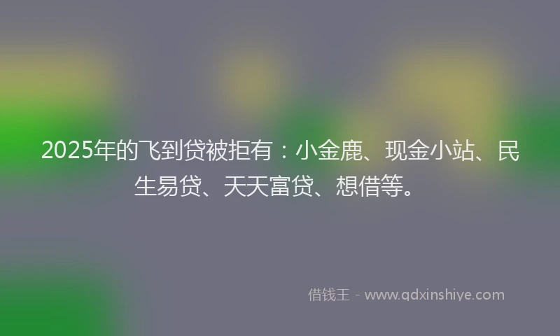 2025年的飞到贷被拒有：小金鹿、现金小站、民生易贷、天天富贷、想借等。