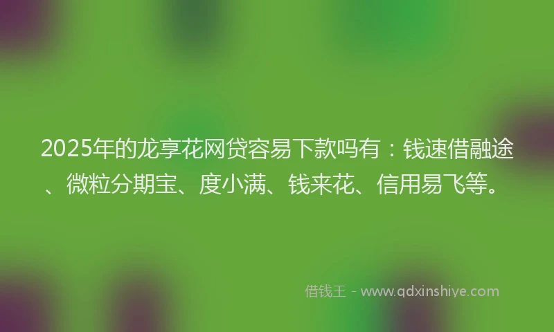2025年的龙享花网贷容易下款吗有：钱速借融途、微粒分期宝、度小满、钱来花、信用易飞等。