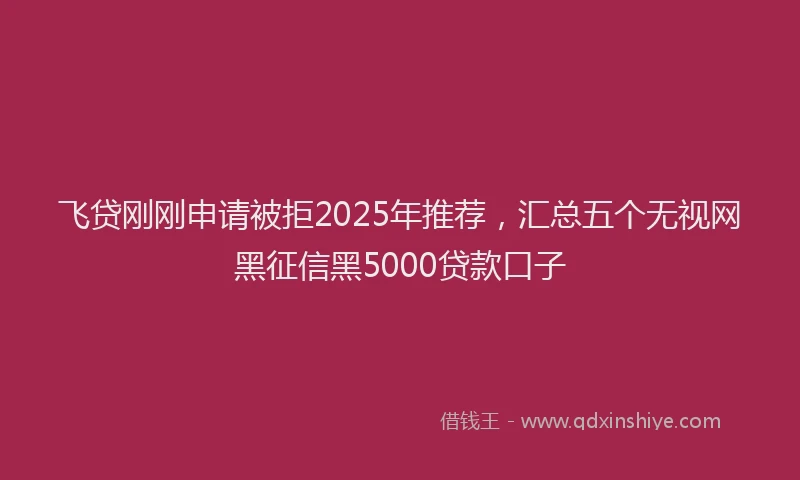 飞贷刚刚申请被拒2025年推荐，汇总五个无视网黑征信黑5000贷款口子
