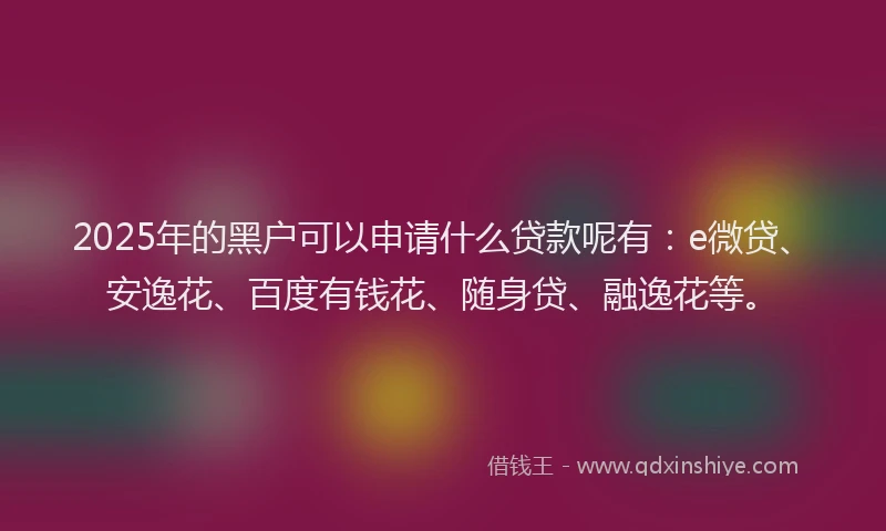 2025年的黑户可以申请什么贷款呢有：e微贷、安逸花、百度有钱花、随身贷、融逸花等。