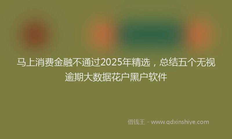 马上消费金融不通过2025年精选，总结五个无视逾期大数据花户黑户软件