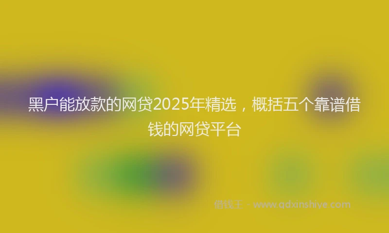 黑户能放款的网贷2025年精选，概括五个靠谱借钱的网贷平台
