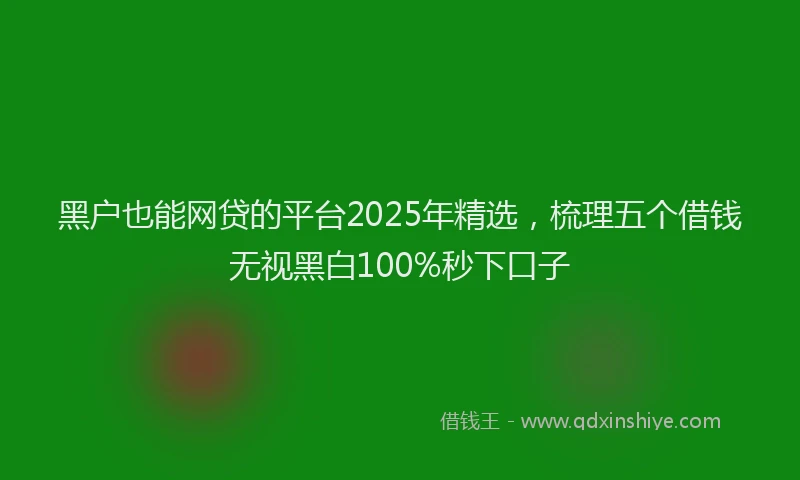 黑户也能网贷的平台2025年精选，梳理五个借钱无视黑白100%秒下口子