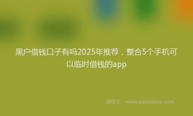 黑户借钱口子有吗2025年推荐，整合5个手机可以临时借钱的app