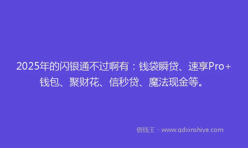 2025年的闪银通不过啊有：钱袋瞬贷、速享Pro+钱包、聚财花、信秒贷、魔法现金等。