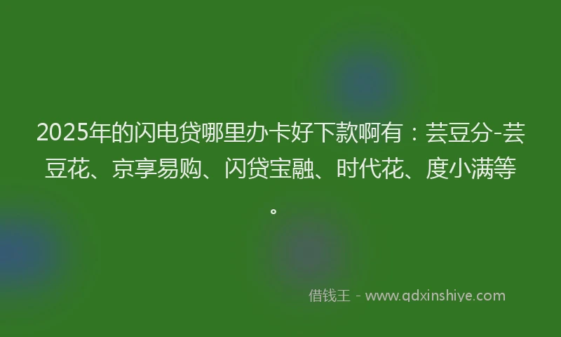2025年的闪电贷哪里办卡好下款啊有:芸豆分-芸豆花、京享易购、闪贷宝融、时代花、度小满等。