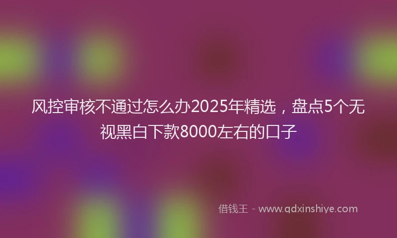 风控审核不通过怎么办2025年精选，盘点5个无视黑白下款8000左右的口子
