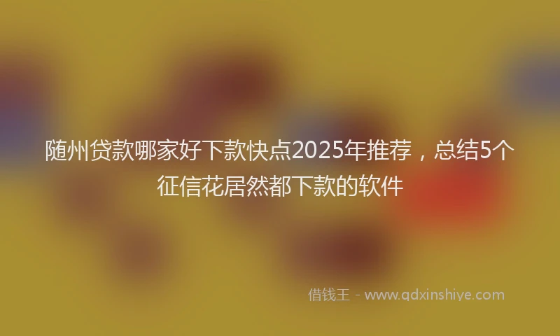 随州贷款哪家好下款快点2025年推荐，总结5个征信花居然都下款的软件