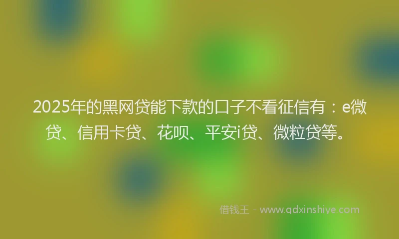 2025年的黑网贷能下款的口子不看征信有：e微贷、信用卡贷、花呗、平安i贷、微粒贷等。