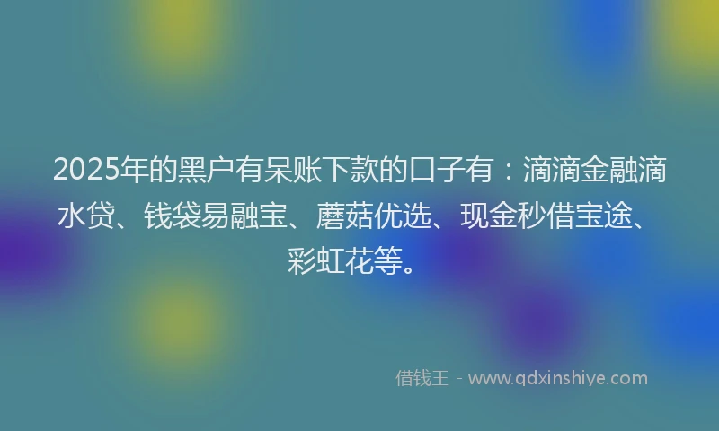 2025年的黑户有呆账下款的口子有：滴滴金融滴水贷、钱袋易融宝、蘑菇优选、现金秒借宝途、彩虹花等。