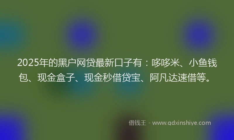 2025年的黑户网贷最新口子有：哆哆米、小鱼钱包、现金盒子、现金秒借贷宝、阿凡达速借等。