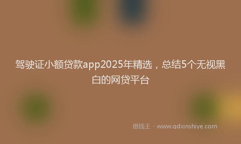 驾驶证小额贷款app2025年精选，总结5个无视黑白的网贷平台
