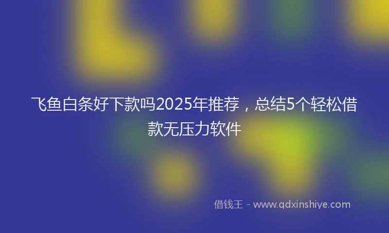 飞鱼白条好下款吗2025年推荐，总结5个轻松借款无压力软件
