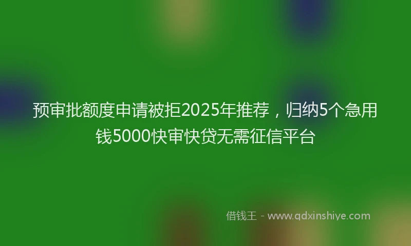 预审批额度申请被拒2025年推荐，归纳5个急用钱5000快审快贷无需征信平台