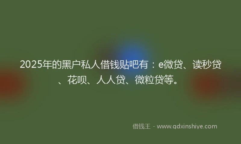 2025年的黑户私人借钱贴吧有：e微贷、读秒贷、花呗、人人贷、微粒贷等。