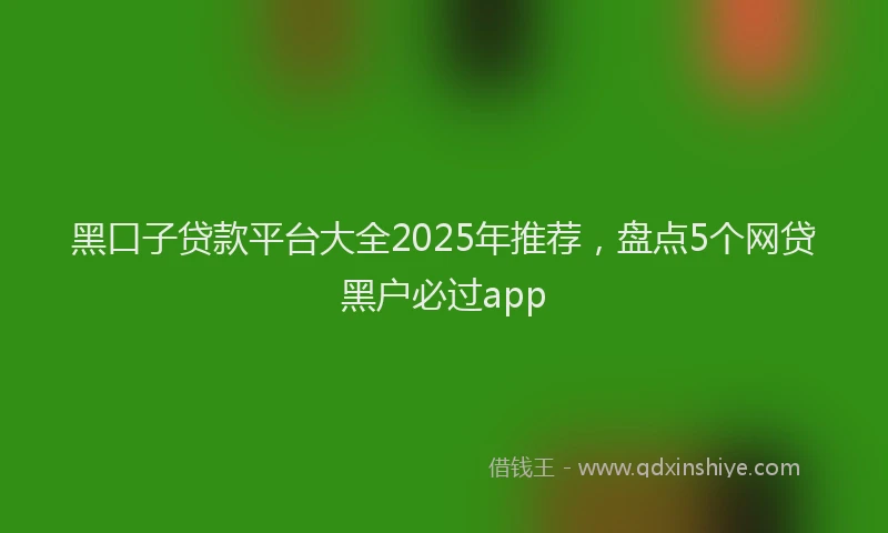 黑口子贷款平台大全2025年推荐，盘点5个网贷黑户必过app