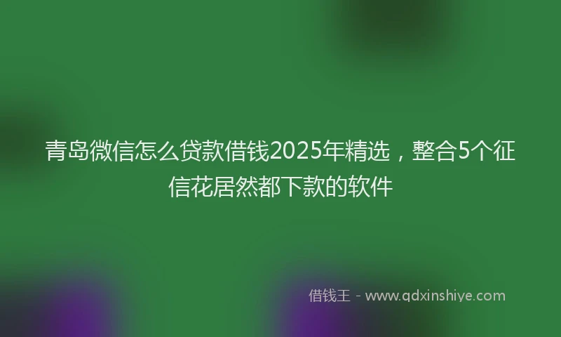 青岛微信怎么贷款借钱2025年精选，整合5个征信花居然都下款的软件