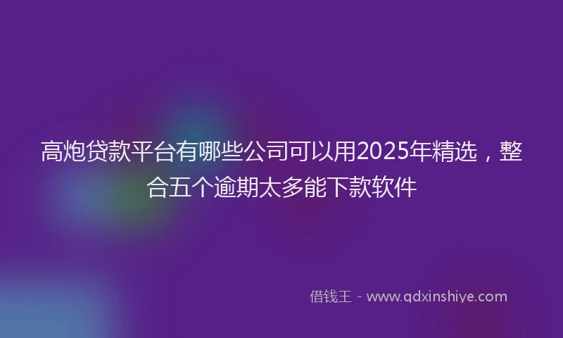 高炮贷款平台有哪些公司可以用2025年精选，整合五个逾期太多能下款软件