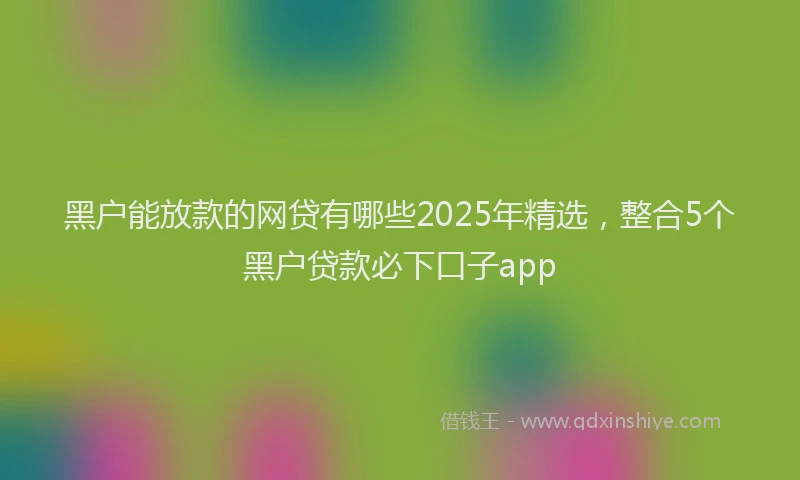 黑户能放款的网贷有哪些2025年精选，整合5个黑户贷款必下口子app
