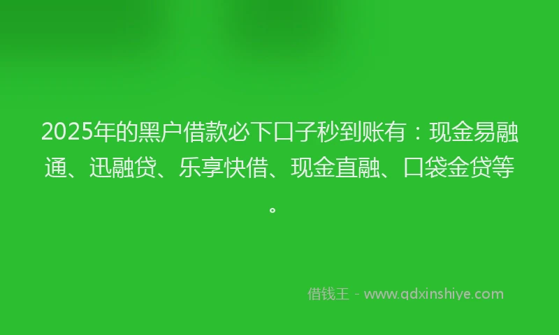 2025年的黑户借款必下口子秒到账有：现金易融通、迅融贷、乐享快借、现金直融、口袋金贷等。